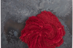 Corallium rouge