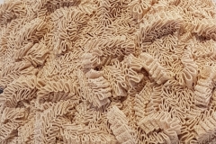 Eponge